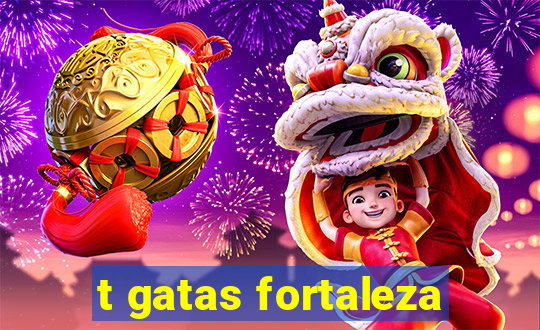 t gatas fortaleza