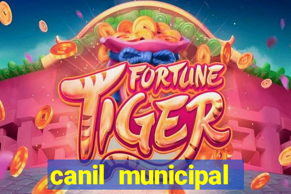 canil municipal porto alegre