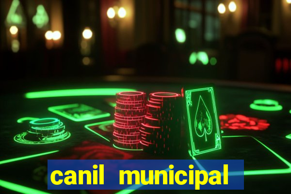 canil municipal porto alegre