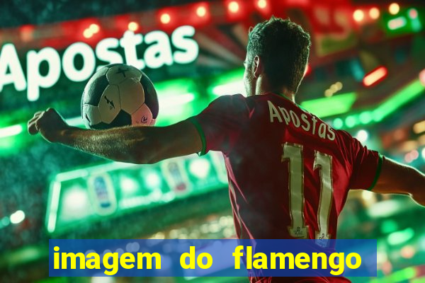 imagem do flamengo para perfil