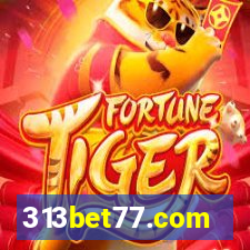 313bet77.com