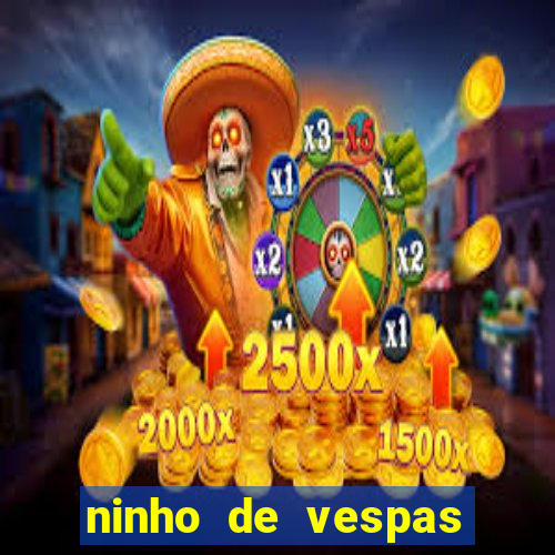 ninho de vespas significado espiritual