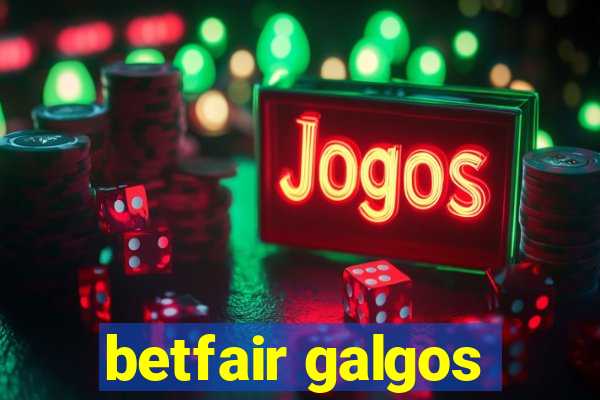 betfair galgos