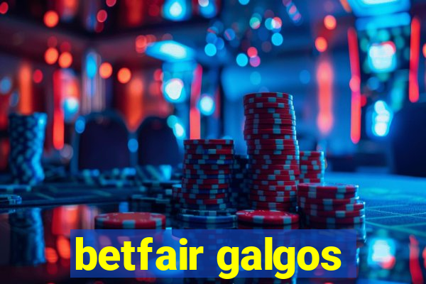 betfair galgos