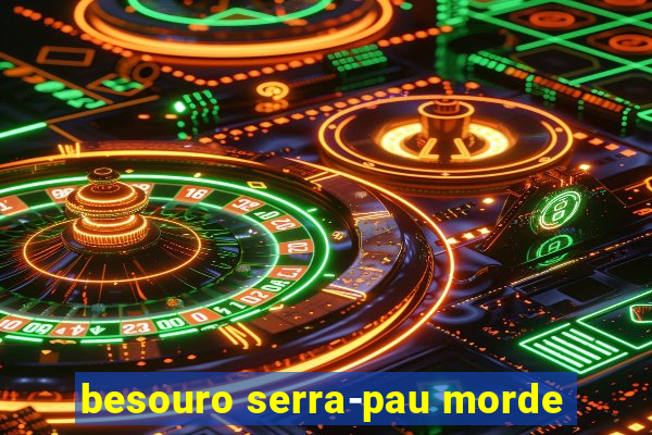 besouro serra-pau morde