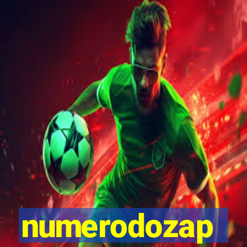 numerodozap