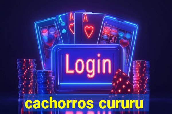 cachorros cururu