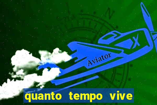 quanto tempo vive um passarinho bem-te-vi