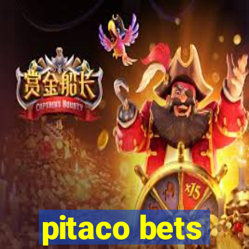 pitaco bets