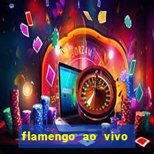 flamengo ao vivo multi canais