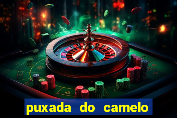 puxada do camelo jogo do bicho