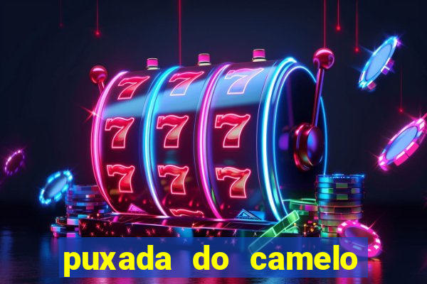 puxada do camelo jogo do bicho