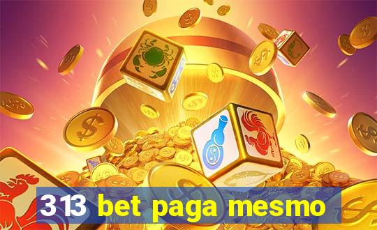 313 bet paga mesmo