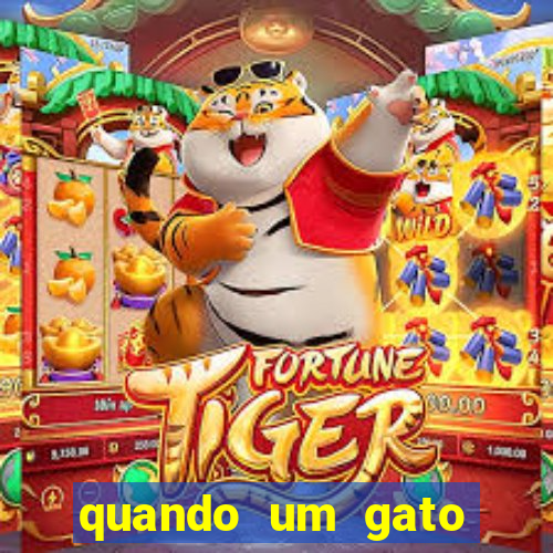 quando um gato aparece do nada significado espiritual