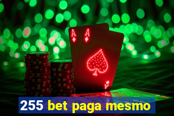 255 bet paga mesmo