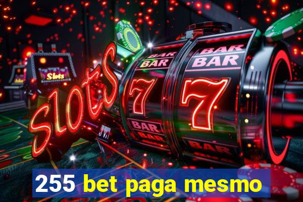 255 bet paga mesmo