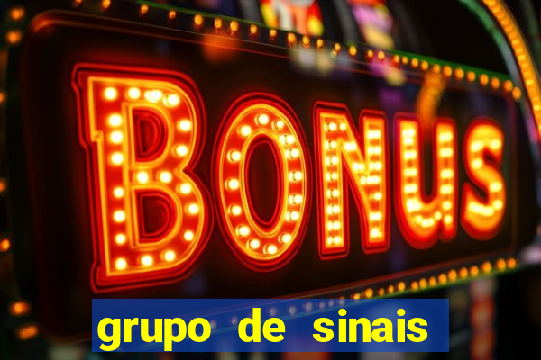 grupo de sinais trader telegram