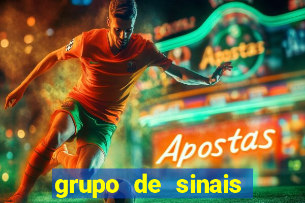 grupo de sinais trader telegram