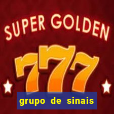 grupo de sinais trader telegram