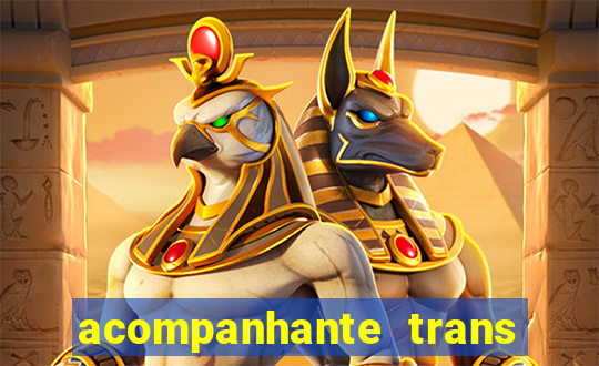 acompanhante trans de santos