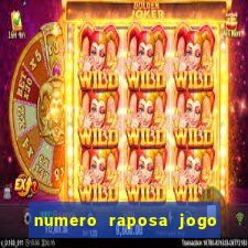 numero raposa jogo do bicho