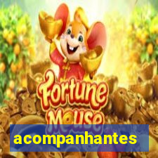 acompanhantes chamadas de video