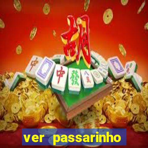 ver passarinho morto significado espiritual