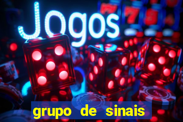 grupo de sinais fortune rabbit