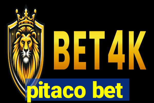 pitaco bet