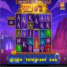 grupo telegram sao jose do rio preto