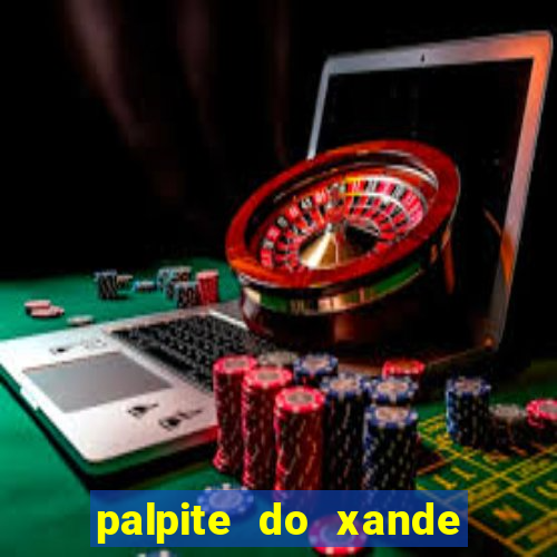 palpite do xande de hoje