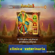 clinica veterinaria cuidar betim