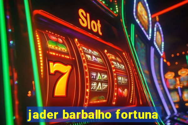 jader barbalho fortuna