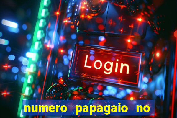 numero papagaio no jogo do bicho