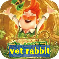 vet rabbit