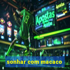 sonhar com macaco