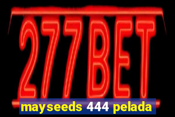 mayseeds 444 pelada