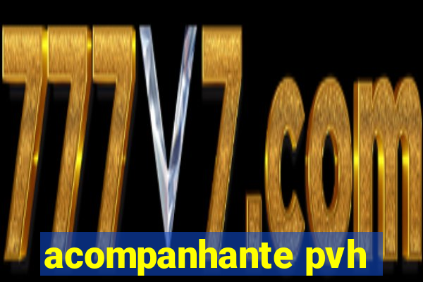 acompanhante pvh