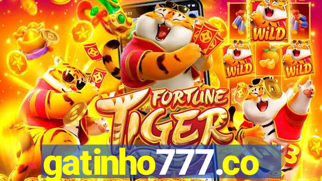 gatinho777.co