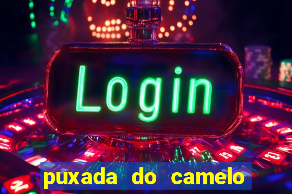 puxada do camelo no jogo do bicho