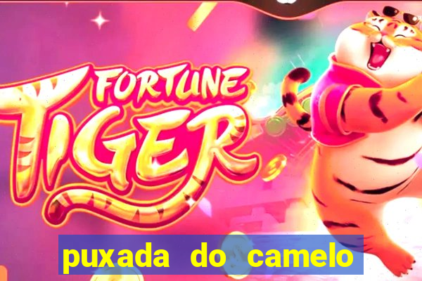 puxada do camelo no jogo do bicho