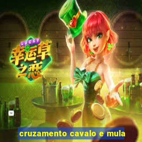 cruzamento cavalo e mula