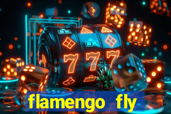 flamengo fly emirates ultimas noticias