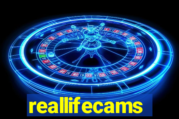 reallifecams