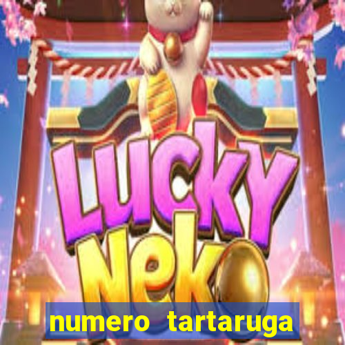 numero tartaruga jogo do bicho