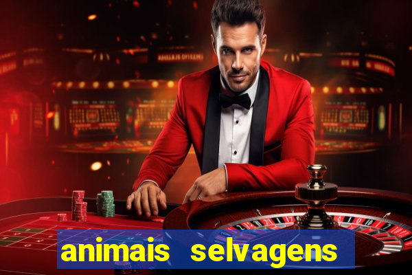 animais selvagens fotos e nomes