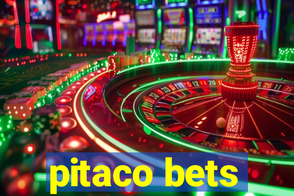 pitaco bets