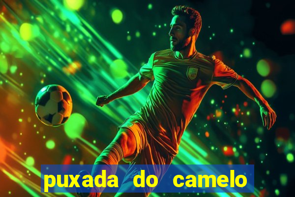 puxada do camelo jogo do bicho