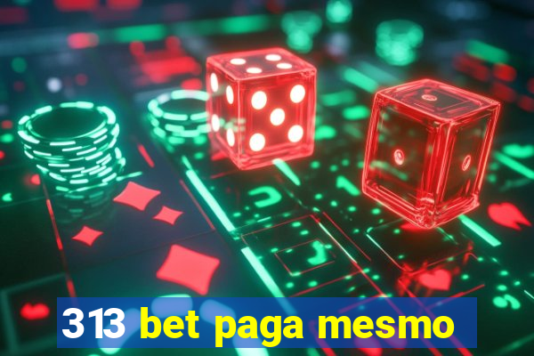 313 bet paga mesmo