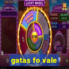 gatas fo vale